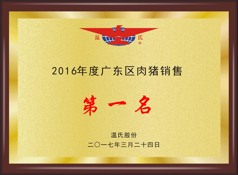 2016年度广东区肉猪销量第一名