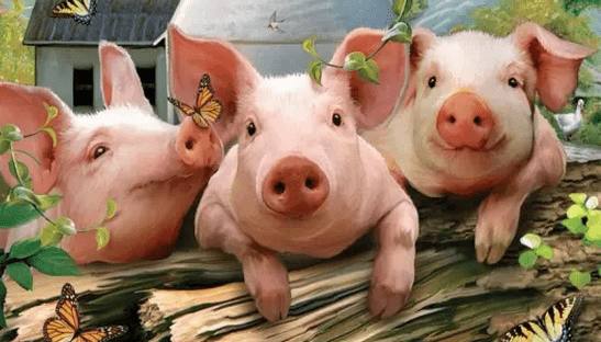 一品肉类 | 《生猪屠宰质量管理规范》自2024年1月1日开始实施。
